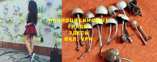 марки lsd Нея