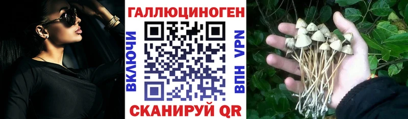 хочу   Сорск  blacksprut рабочий сайт  Псилоцибиновые грибы Magic Shrooms 